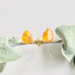 Free form Baltic Amber Studs | Protection For Empaths | Provides Protection From Negative Influences | Sloan’s Stones