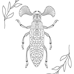 May include: A black and white line drawing of a beetle with intricate details. The beetle has large wings and a long body with a patterned design. The beetle is surrounded by two branches of leaves.