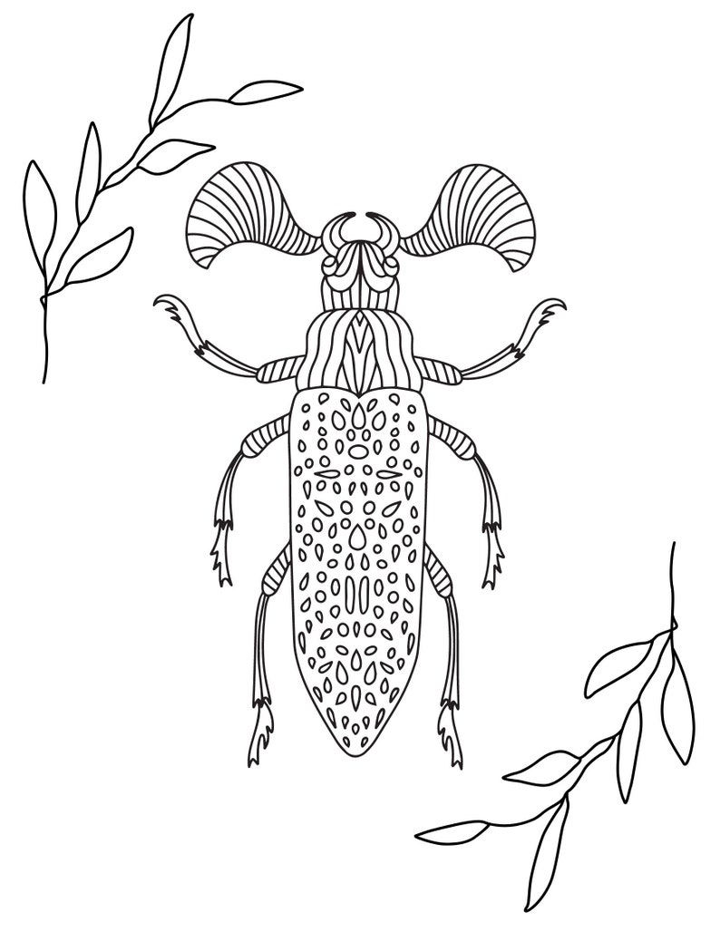 Bugs and Insects Children & Adult Coloring Pages 23 Digital Coloring Pages Printable, PDF Download image 5