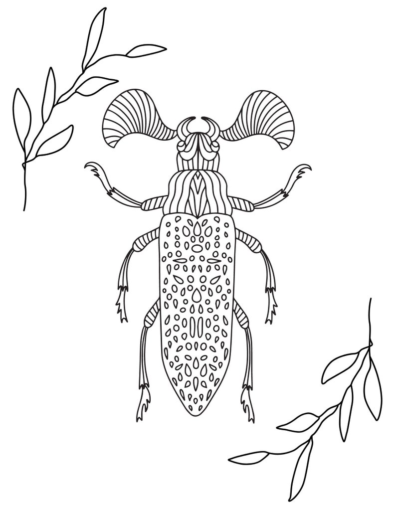 May include: A black and white line drawing of a beetle with intricate details. The beetle has large wings and a long body with a patterned design. The beetle is surrounded by two branches of leaves.