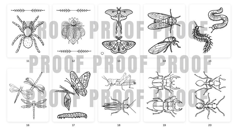 Bugs and Insects Children & Adult Coloring Pages 23 Digital Coloring Pages Printable, PDF Download image 3