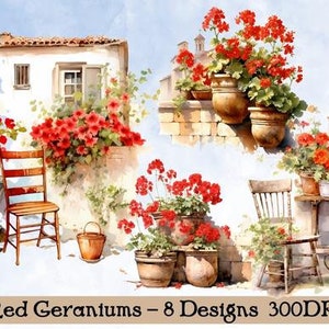 May include: Eight watercolour illustrations of red geraniums in pots, some with chairs and tables, set against a background of a white building and a blue sky.  Red Geraniums - 8 Designs 300DPI