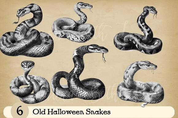 Old Halloween Snake snakes Clip Art Illustrations Transparencies Digital Download - PRINTABLE - INSTANT DOWNLOAD - high res 300 dpi