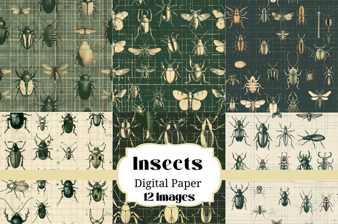 12 Insect Beetle ~ 300 DPI ~ Digital Paper Backgrounds ~ Scrapbooking ...