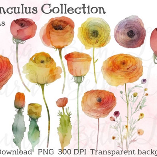 Watercolor Ranunculus Roses Clipart Digital Download - PRINTABLE - INSTANT DOWNLOAD - Printable Art Papers high res 300 dpi