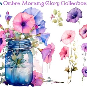47-Piece Watercolor Ombre Morning Glories Clipart Set - Digital Download - PRINTABLE - INSTANT DOWNLOAD - Printable Art Papers high res