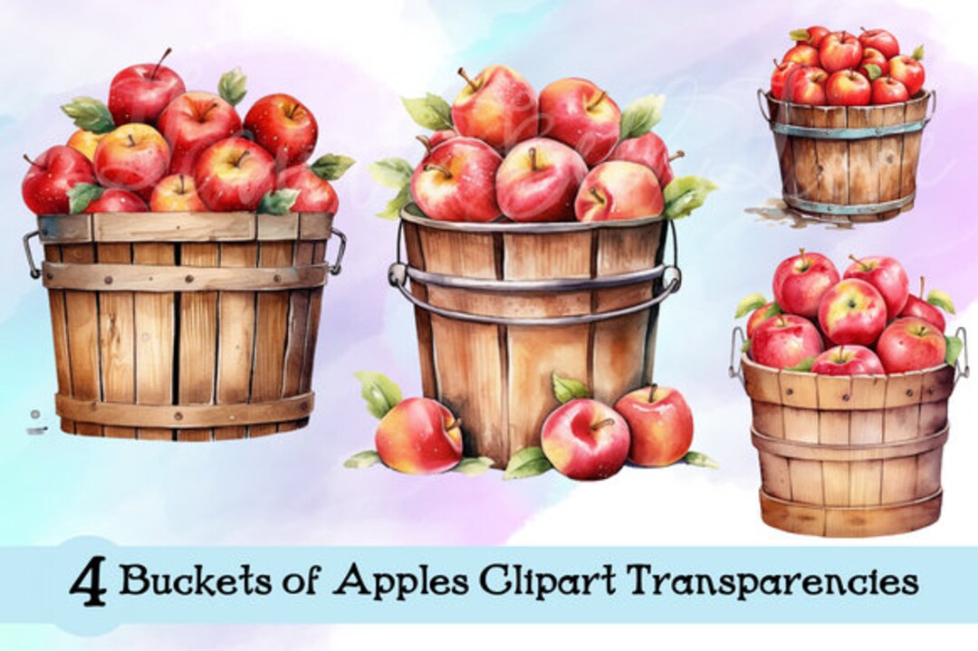 4 Watercolor Buckets of Apples Illustrations Transparencies Digital