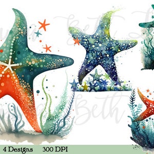 Belles étoiles de mer Clip Art Illustrations, transparents, téléchargement numérique, imprimable, téléchargement immédiat, haute résolution