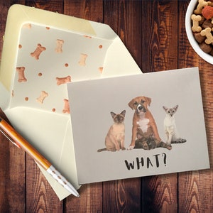Chiens et chats Quoi ? Carte de correspondance, vierge à l'intérieur, chien, félin, miaou, woof, animaux de compagnie, animaux, drôle, cartes de voeux, dimension 4,25 po. x 5,5 po. A2