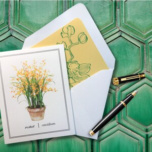 Cartes de correspondance orchidée, boîte de 8 enveloppes lignées, plantes fleurs, oncidium, jardin nature, cadeaux, toute occasion, intérieur vierge, taille 4,25" X 5,5"