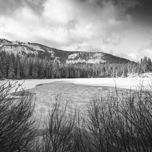 May include: A black and white photograph of a frozen lake in a snowy forest. The lake is surrounded by tall, snow-covered trees. The sky is cloudy and the air is still.