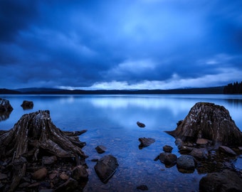 May include: A serene landscape featuring a calm lake reflecting a cloudy blue sky. In the foreground, weathered tree stumps and rocks are partially submerged in the water. The scene evokes a sense of tranquility and natural beauty.