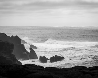 May include: A black and white photograph of a rocky coastline with crashing waves. The sky is overcast and the water is choppy. A bird flies over the water in the distance.