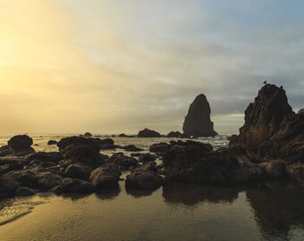May include: A scenic view of a rocky coastline at sunset. The rocks are silhouetted against a golden sky, with the ocean in the foreground.