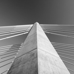 Portland Oregon, Photograph, Fine Art, Black and WhitePDX, Tilikum Crossing, Bridge, Wall Decor, City Photograph, Downtown, Willamette River