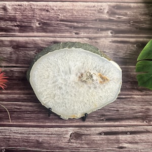 May include: A white agate slice with a natural, organic pattern. The slice is on a black metal stand and has a gray, green, and brown outer edge.