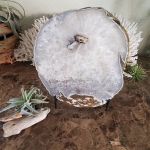 May include: A large, polished agate geode slice, showcasing a crystalline interior with shades of white and lavender. The geode is mounted on a black metal stand, with a natural brown edge. Decorative air plants and driftwood are nearby.