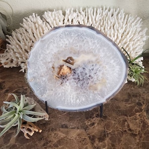 May include: A natural agate slice with a polished surface, displaying layers of white, grey, and brown. The stone is presented on a black metal stand. A coral-like structure and air plant are visible in the background, enhancing the natural theme.