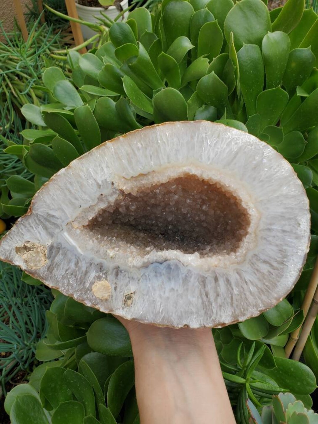 9.8ポンドの大型研磨瑪瑙ジオードハーフ：天然水晶装飾 - Etsy 日本