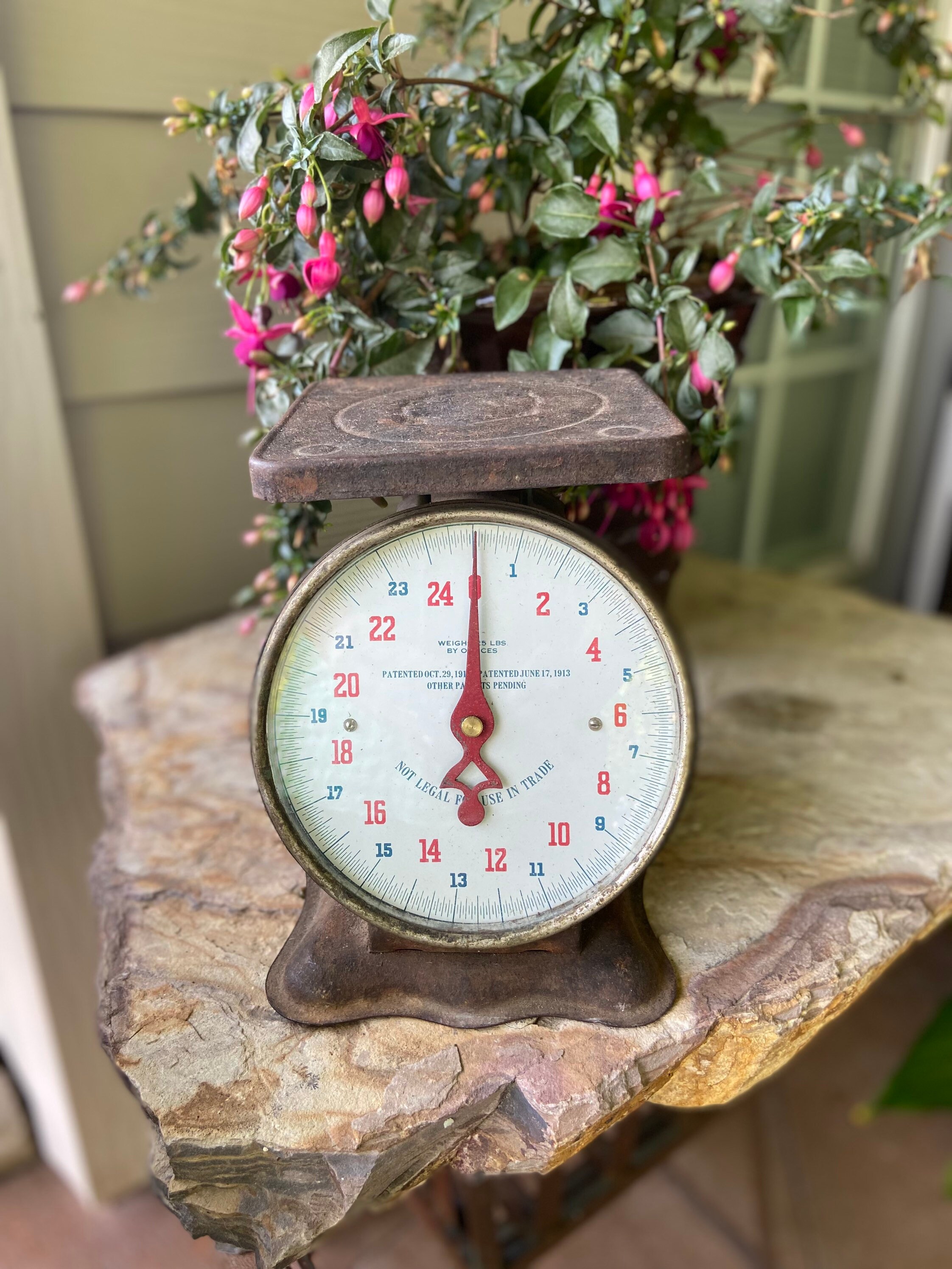 Vintage Primitive Table Top Scale 25lb Utility Scale Farmhouse Etsy