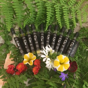 VERT MONT PERFUMERY 11 Pack