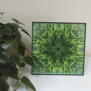 Kaleidoscopic Mandala &quot;Wild Grass is Greener&quot; nature mandala 8&quot; framed print
