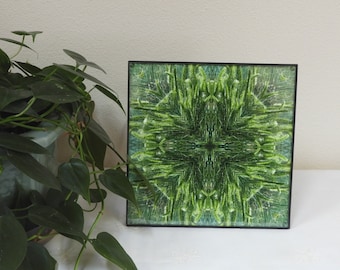 Kaleidoscopic Mandala "Wild Grass is Greener" nature mandala 8" framed print