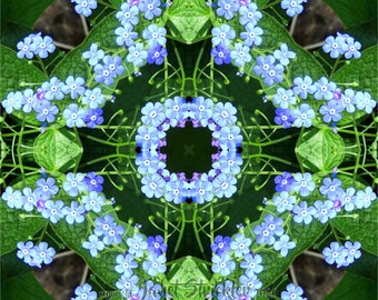 Kaleidoscopic Mandala "Forget Me Not" nature mandala 8" framed print