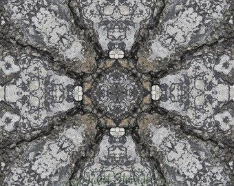 Kaleidoscopic Mandala "Plot Lines" 8" print in black wood frame