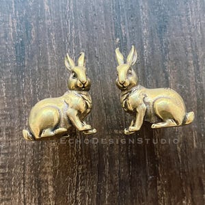Op de afbeelding: Twee messing konijnenbeeldjes, elk in een zittende positie met gedetailleerde kenmerken. De konijnen hebben lange oren en zijn geplaatst op een donker houten oppervlak. De beeldjes hebben een warme goudkleur.