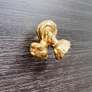 May include: Gold-toned cabinet knob with a knot-like design. The knob has a textured surface and a unique, abstract shape.