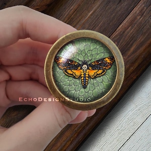 Puede incluir: Un pomo redondo de color latón con un inserto de vidrio que presenta una polilla de la muerte de cabeza colorida sobre un fondo verde estampado.