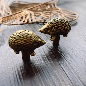 Może przedstawiać: Dwa mosiężne, antyczne uchwyty do szafek w kształcie jeży z detalami. Uchwyty znajdują się na ciemnej drewnianej powierzchni, z dekoracyjnym złotym liściem w tle. Unikalny element dekoracyjny.