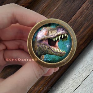 Puede incluir: Un pomo de latón con un inserto redondo de vidrio que presenta una imagen de primer plano de la cabeza de un dinosaurio con la boca abierta y dientes afilados. La cabeza del dinosaurio está sobre un fondo azul y verde.