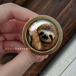 Op de afbeelding: Een ronde, messingkleurige kastknop met een glazen inzetstuk met een close-up afbeelding van een bruine en beige luiaard met een nieuwsgierige uitdrukking.