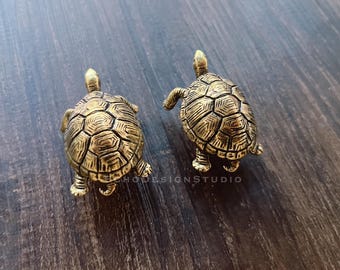 Turtle Brass Cabinet Knob: Modern Dresser Drawer Pull (BS-C-1335)