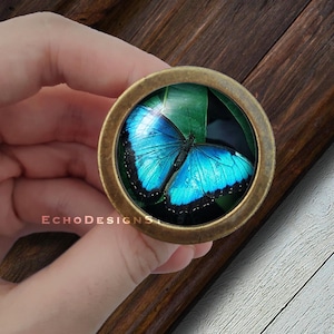 May include: A round, brass-coloured cabinet knob with a glass insert featuring a blue morpho butterfly on a green leaf background.