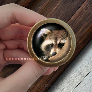 以下が含まれることがあります： 木の幹の後ろから顔を出しているアライグマが描かれた、ガラス製のインサートが付いた丸い真鍮製のキャビネットノブのクローズアップ。アライグマは黒い目、黒い鼻、そして目の周りに黒いマスクをしています。