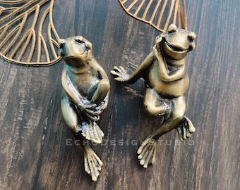 Frog Solid Brass Cabinet Knob Handle Drawer Pull Knob Dresser Pull Gold Cupboard Pull Modern Design Wardrobe Pull (BS-C-235)