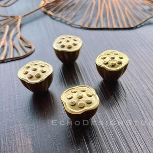 Lotus massiv mässingsskåpsknopp: Modern guldfärgad byråhandtag (BS-C-271)