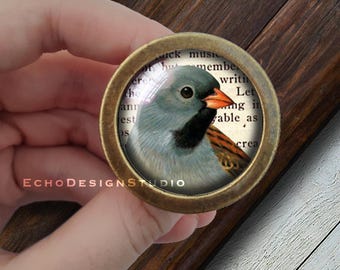 Bird Picture Glass Dome Knob: Gold Dresser Drawer Pull
