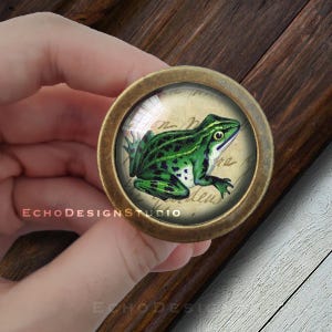 Op de afbeelding: Een messing kastknop met een glazen koepel met een groene kikkerillustratie op een witte achtergrond met zwarte tekst.