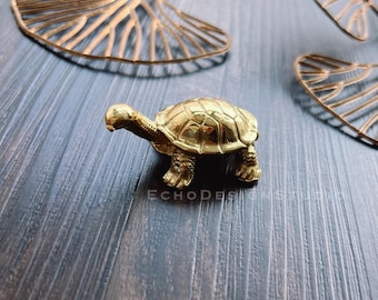 Messing Möbelknauf Schildkröte: Moderner Gold Möbelknauf (BS-C-939)