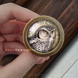 Op de afbeelding: Een ronde, messingkleurige knop met een afbeelding van een witte en grijze uil erin. De uil heeft gele ogen en is omringd door een decoratief, gouden frame.