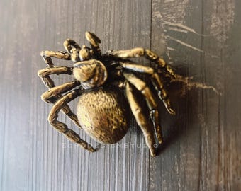 Spider Solid Brass Cabinet Handle: Modern Gold Dresser Pull (BS-C-1366)