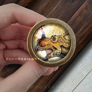 May include: A brass knob with a round, glass top featuring a detailed illustration of a dinosaur head with a yellow, orange, and red colour scheme. The dinosaur's eye is visible and the background is a faded, vintage-style design.
