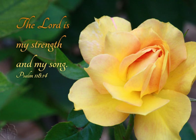 Christian Art Psalm 118 Verse 14 Yellow Rose Photo Bible Etsy