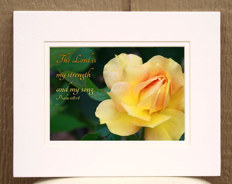christian-art-psalm-118-verse-14-yellow-rose-photo-bible-etsy