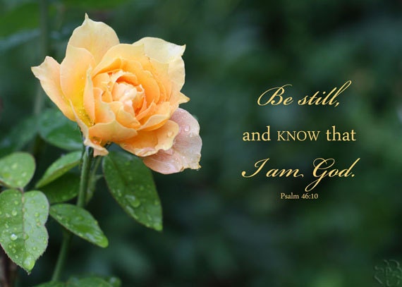Bible Verse Art Psalm 46 Verse 10 Yellow Rose Photo Be Still Etsy