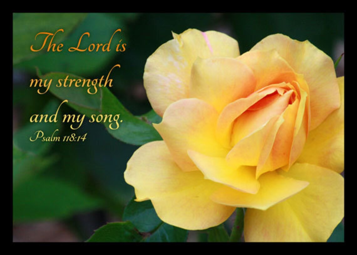Psalm 118 Verse 14